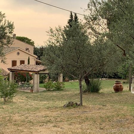 Casale La Civetta Bed & Breakfast Larino Exterior photo