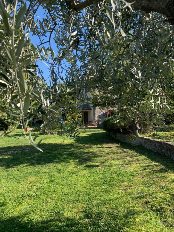 Casale La Civetta Bed & Breakfast Larino Exterior photo