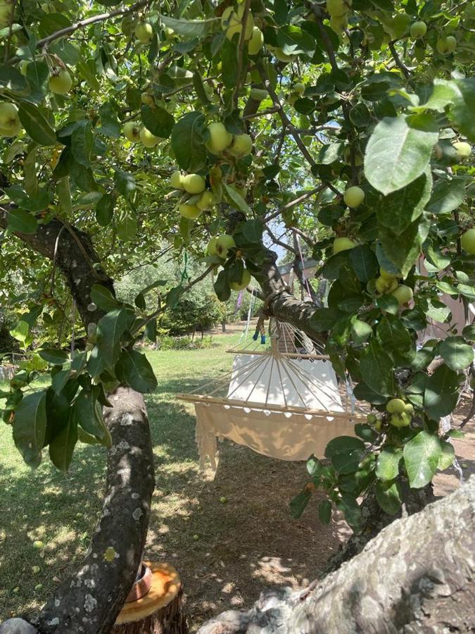 Casale La Civetta Bed & Breakfast Larino Exterior photo